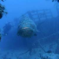 Great day of scuba diving in Key Largo with Rainbow Reef on spiegel grove tropical adventure 2015 08 18 r1903 1