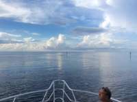 Great day of scuba diving in Key Largo with Rainbow Reef on spiegel grove tropical adventure 2015 08 25 r1939 1