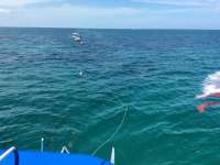 Great day of scuba diving in Key Largo with Rainbow Reef on the horseshoe tropical adventure 2015 08 09 r1869 1