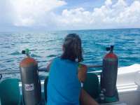 Great day of scuba diving in Key Largo with Rainbow Reef on the horseshoe tropical adventure 2015 08 18 r1904 1
