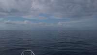 Great day of scuba diving in Key Largo with Rainbow Reef on uscgc bibb tropical adventure 2015 08 26 r1945 1