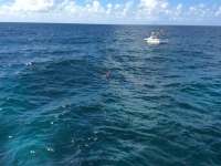 Great day of scuba diving in Key Largo with Rainbow Reef on uscgc duane tropical adventure 2015 08 17 r1899 1