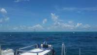 Great day of scuba diving in Key Largo with Rainbow Reef on winch hole tropical odyssey 2015 08 19 r1909 1