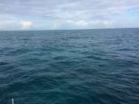 Great day of scuba diving in Key Largo with Rainbow Reef on benwood wreck tropical odyssey 2015 12 14 r2371 1
