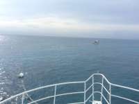 Great day of scuba diving in Key Largo with Rainbow Reef on drift molasses tropical odyssey 2015 12 03 r2328 1
