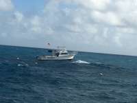Great day of scuba diving in Key Largo with Rainbow Reef on eagle ray alley tropical voyager 2015 12 28 r2398 1