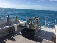 Great day of scuba diving in Key Largo with Rainbow Reef on french deep tropical odyssey 2015 12 29 r2403 1