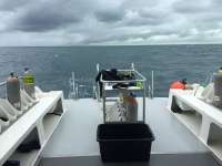 Great day of scuba diving in Key Largo with Rainbow Reef on french reef tropical odyssey 2015 12 08 r2347 1