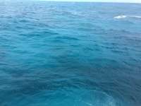 Great day of scuba diving in Key Largo with Rainbow Reef on french reef tropical odyssey 2015 12 22 r2390 1