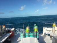 Great day of scuba diving in Key Largo with Rainbow Reef on french reef tropical voyager 2015 12 29 r2400 1