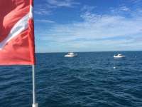 Great day of scuba diving in Key Largo with Rainbow Reef on molasses reef tropical adventure 2015 12 09 r2349 1
