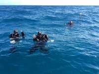 Great day of scuba diving in Key Largo with Rainbow Reef on rebreather drift fr tropical explorer 2015 12 17 r2384 1