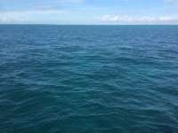 Great day of scuba diving in Key Largo with Rainbow Reef on snapper ledge tropical odyssey 2015 12 09 r2351 1