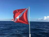 Great day of scuba diving in Key Largo with Rainbow Reef on spiegel grove tropical adventure 2015 12 17 r2381 1
