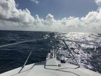 Great day of scuba diving in Key Largo with Rainbow Reef on spiegel grove tropical explorer 2015 12 30 r2407 1