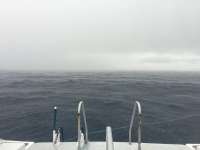 Great day of scuba diving in Key Largo with Rainbow Reef on uscgc duane tropical adventure 2015 12 07 r2344 1