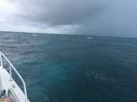 Great day of scuba diving in Key Largo with Rainbow Reef on uscgc duane tropical explorer 2015 12 02 r2325 1