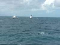 Great day of scuba diving in Key Largo with Rainbow Reef on winch hole tropical odyssey 2015 12 06 r2339 2