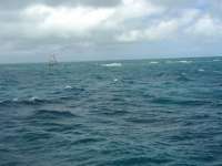 Great day of scuba diving in Key Largo with Rainbow Reef on winch hole tropical odyssey 2015 12 06 r2343 3