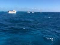 Great day of scuba diving in Key Largo with Rainbow Reef on winch hole tropical odyssey 2015 12 26 r2396 1