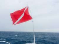 Great day of scuba diving in Key Largo with Rainbow Reef on benwood wreck tropical odyssey 2015 02 05 r1183 1