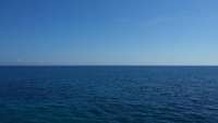 Great day of scuba diving in Key Largo with Rainbow Reef on city of washington tropical adventure 2015 02 24 r1228 1