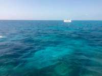 Great day of scuba diving in Key Largo with Rainbow Reef on fire coral cave tropical odyssey 2015 02 28 r1236 1