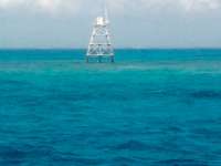 Great day of scuba diving in Key Largo with Rainbow Reef on fire coral cave tropical odyssey 2015 02 28 r1236 2