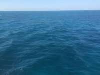 Great day of scuba diving in Key Largo with Rainbow Reef on french reef tropical adventure 2015 02 13 r1200 2