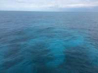 Great day of scuba diving in Key Largo with Rainbow Reef on hole in the wall tropical odyssey 2015 02 09 r1187 2