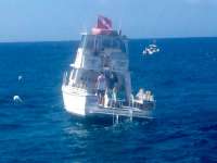 Great day of scuba diving in Key Largo with Rainbow Reef on hole in the wall tropical odyssey 2015 02 23 r1224 2