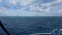 Great day of scuba diving in Key Largo with Rainbow Reef on molasses reef tropical adventure 2015 02 12 r1194 1