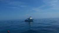Great day of scuba diving in Key Largo with Rainbow Reef on molasses reef tropical odyssey 2015 02 25 r1230 1