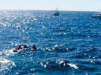 Great day of scuba diving in Key Largo with Rainbow Reef on molasses reef tropical voyager 2015 02 15 r1206 1
