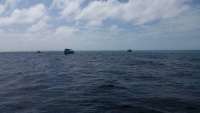 Great day of scuba diving in Key Largo with Rainbow Reef on molasses reef tropical voyager 2015 02 22 r1221 1