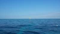 Great day of scuba diving in Key Largo with Rainbow Reef on north star tropical adventure 2015 02 17 r1214 1
