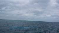 Great day of scuba diving in Key Largo with Rainbow Reef on north star tropical odyssey 2015 02 04 r1181 1