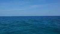 Great day of scuba diving in Key Largo with Rainbow Reef on pickles reef tropical odyssey 2015 02 25 r1231 1