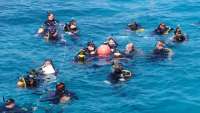 Great day of scuba diving in Key Largo with Rainbow Reef on sand island tropical adventure 2015 02 25 r1232 1