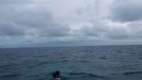 Great day of scuba diving in Key Largo with Rainbow Reef on snapper ledge tropical odyssey 2015 02 18 r1217 1