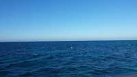 Great day of scuba diving in Key Largo with Rainbow Reef on spiegel grove tropical adventure 2015 02 15 r1205 1