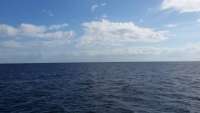 Great day of scuba diving in Key Largo with Rainbow Reef on spiegel grove tropical odyssey 2015 02 12 r1195 1