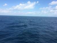 Great day of scuba diving in Key Largo with Rainbow Reef on woodys tropical odyssey 2015 02 10 r1190 1