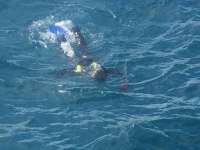 Great day of scuba diving in Key Largo with Rainbow Reef on benwood wreck tropical odyssey 2015 01 19 r1138 2