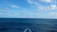Great day of scuba diving in Key Largo with Rainbow Reef on christ statue tropical adventure 2015 01 02 r1109 1