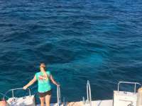 Great day of scuba diving in Key Largo with Rainbow Reef on fire coral cave tropical voyager 2015 01 22 r1150 1