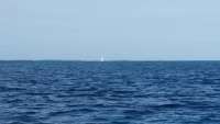 Great day of scuba diving in Key Largo with Rainbow Reef on french reef tropical explorer 2015 01 25 r1160 1