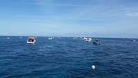 Great day of scuba diving in Key Largo with Rainbow Reef on molasses reef tropical voyager 2015 01 01 r1105 1