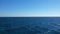 Great day of scuba diving in Key Largo with Rainbow Reef on north star tropical odyssey 2015 01 28 r1168 1