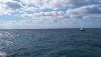 Great day of scuba diving in Key Largo with Rainbow Reef on spanish anchor tropical odyssey 2015 01 29 r1171 1